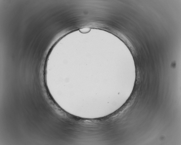 X0000116651138201001251151