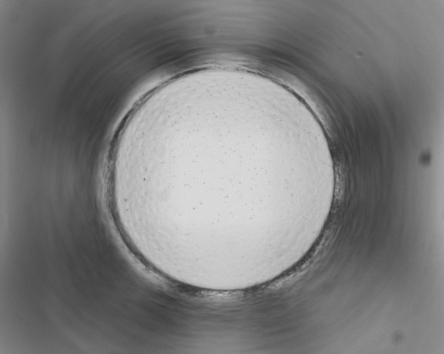 X0000116651139201001251151