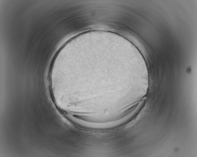 X0000116651141201001251151