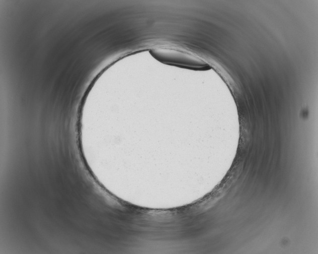 X0000116651142201001251151