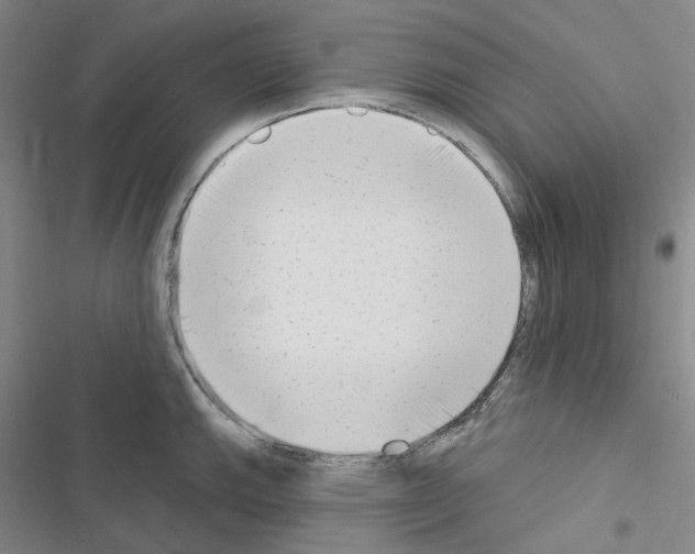 X0000116651143201001251151