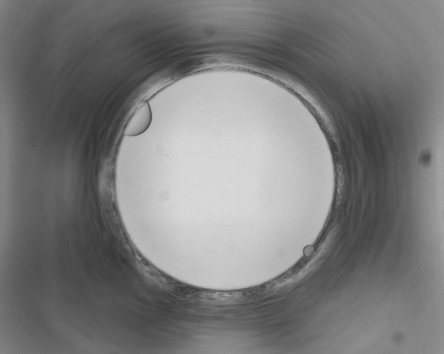 X0000116651145201001251151