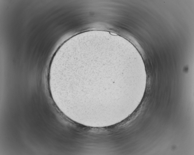 X0000116651146201001251151