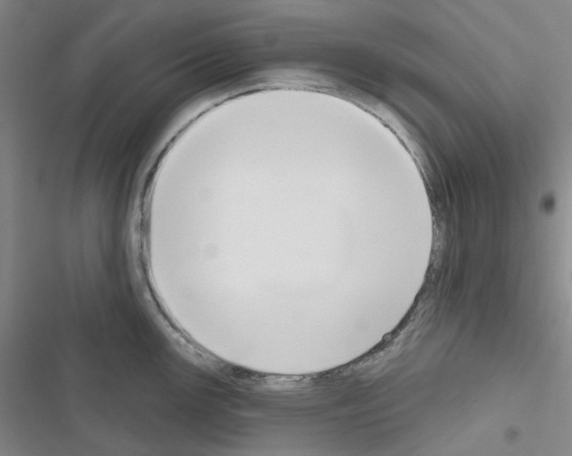 X0000116651147201001251151