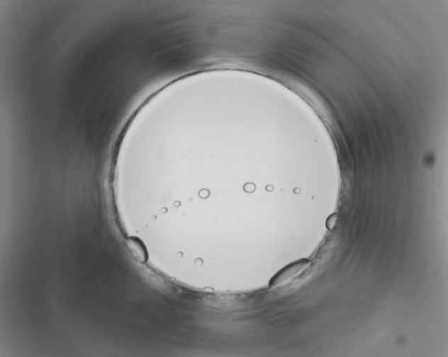X0000116651149201001251151