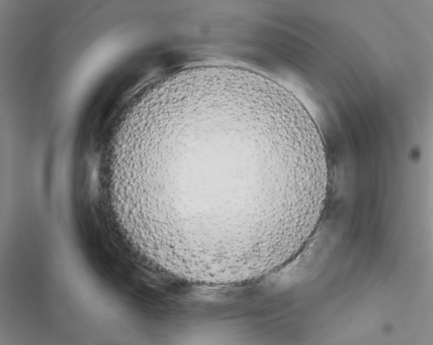 X0000116651150201001251151