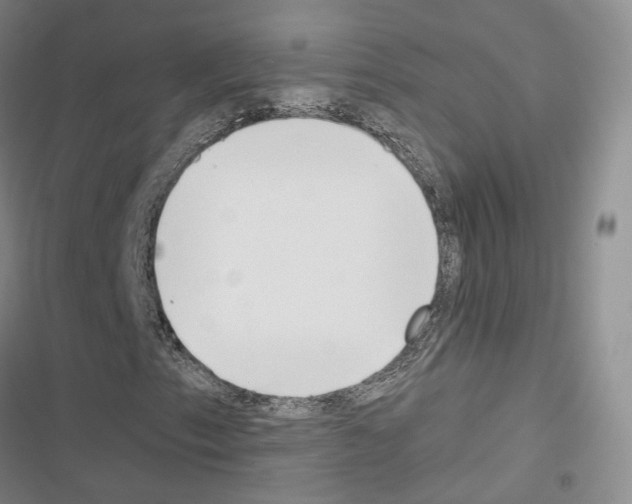 X0000116651153201001251151