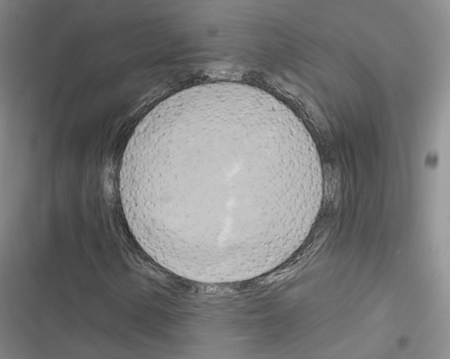X0000116651154201001251151