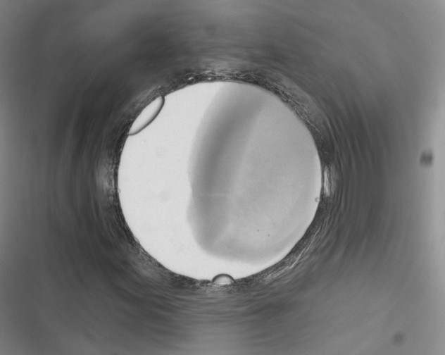 X0000116651155201001251151