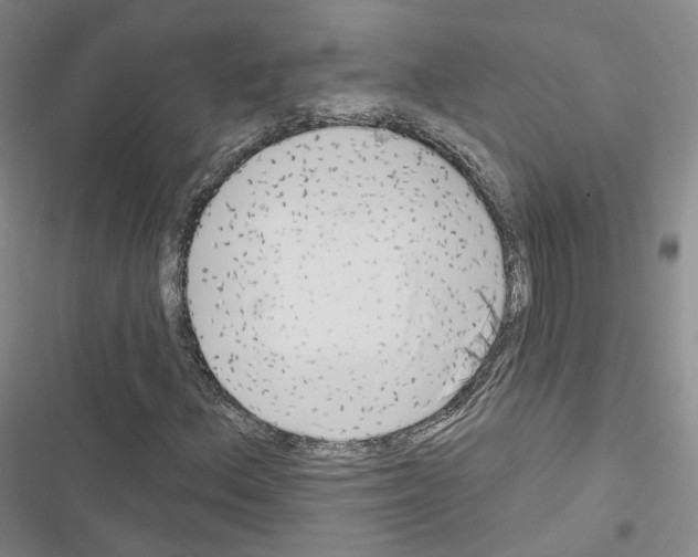X0000116651156201001251151