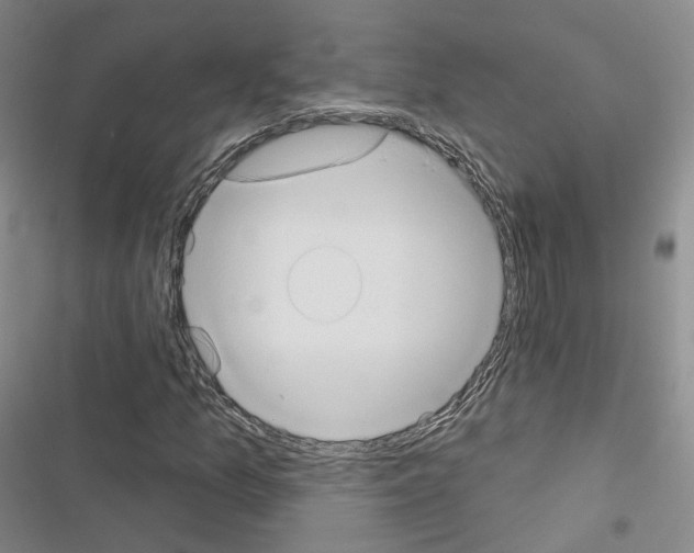 X0000116651157201001251151
