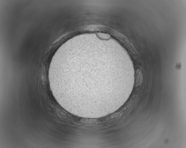 X0000116651158201001251151
