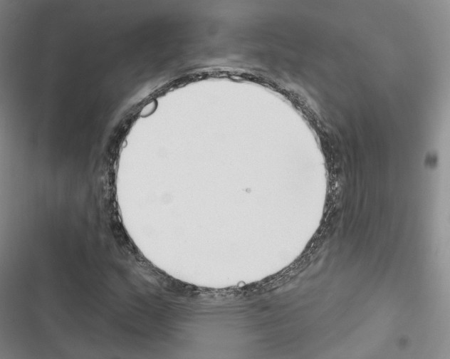X0000116651159201001251151
