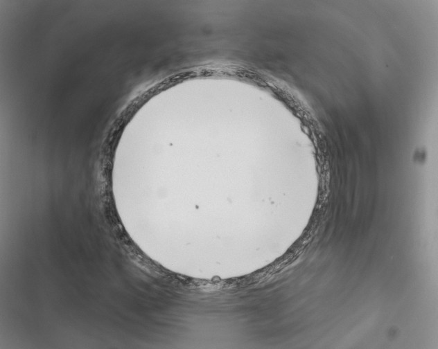 X0000116651160201001251151