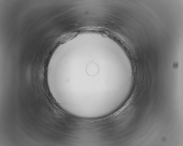 X0000116651161201001251151