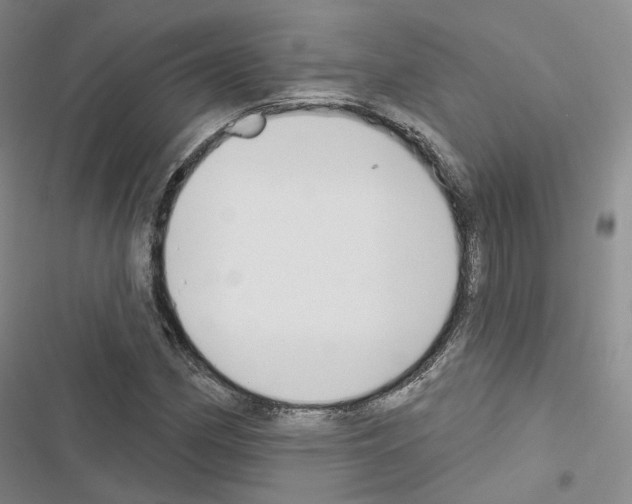 X0000116651162201001251151