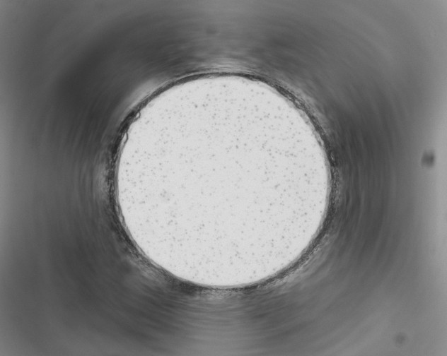 X0000116651163201001251151