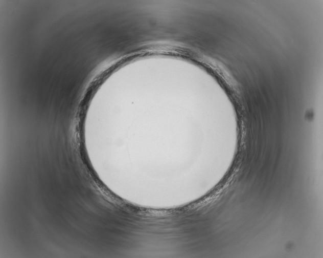 X0000116651164201001251151