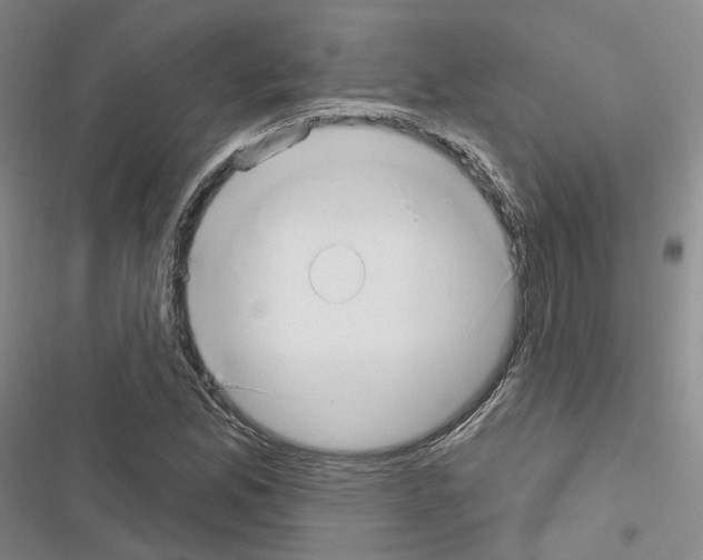 X0000116651165201001251151