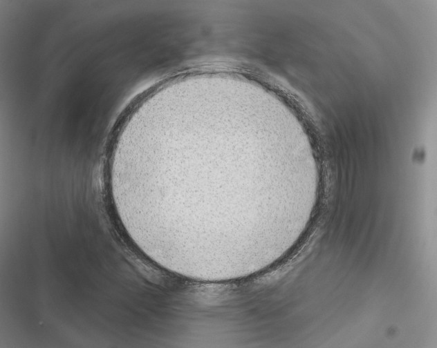 X0000116651166201001251151