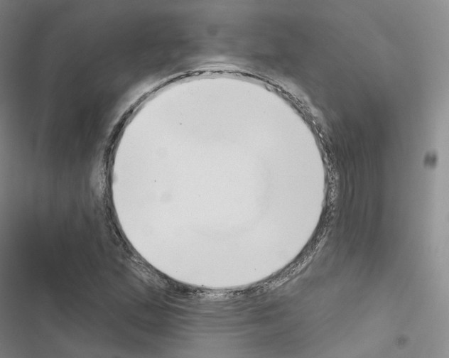 X0000116651167201001251151