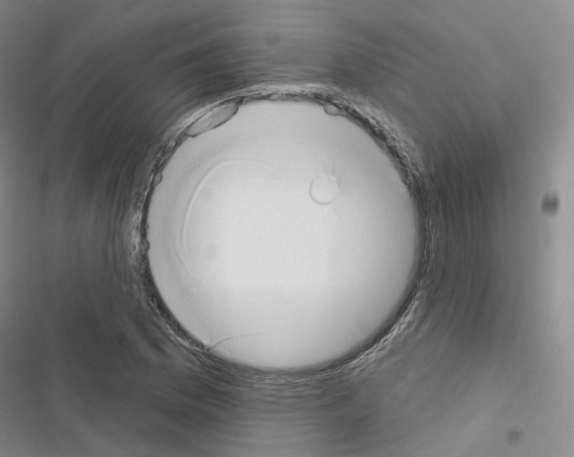 X0000116651169201001251151