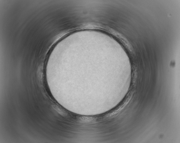 X0000116651170201001251151