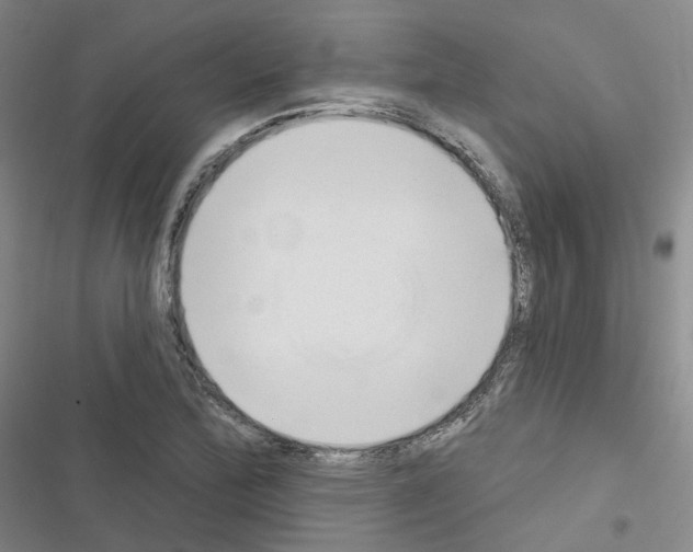 X0000116651172201001251151
