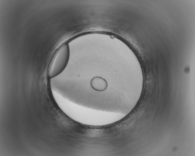 X0000116651173201001251151