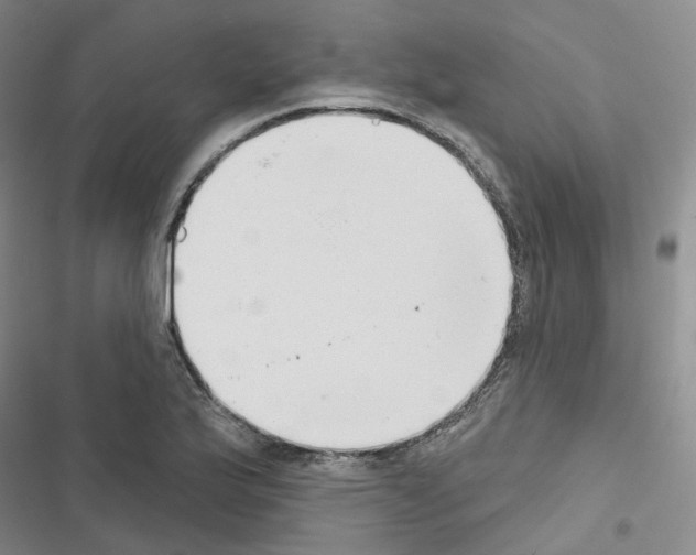 X0000116651175201001251150