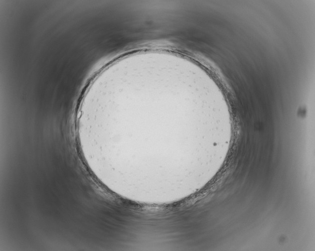 X0000116651176201001251150