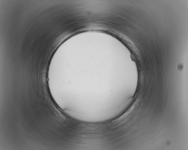 X0000116651177201001251150