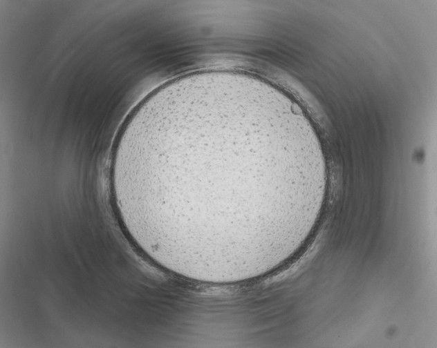 X0000116651178201001251150