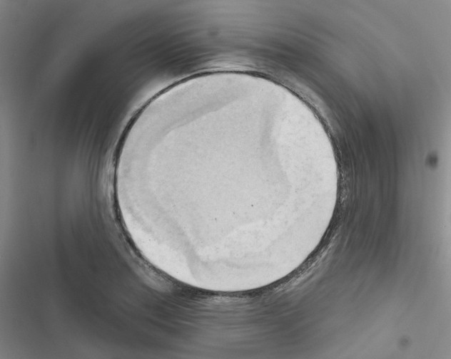 X0000116651179201001251150