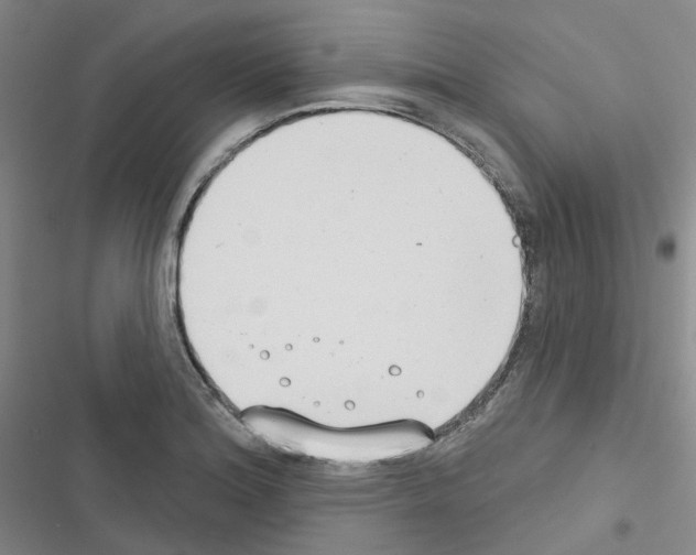 X0000116651180201001251150