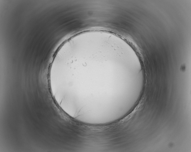 X0000116651181201001251150