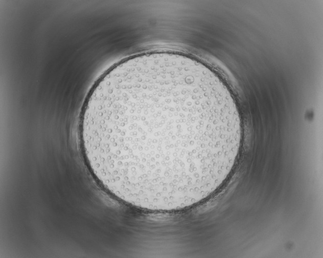X0000116651182201001251150