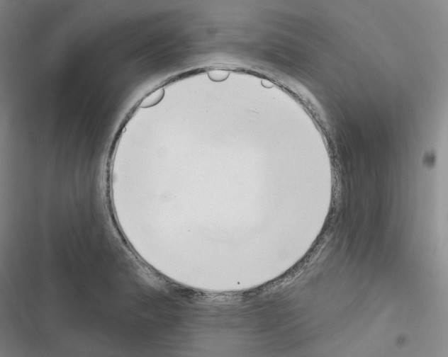 X0000116651183201001251150