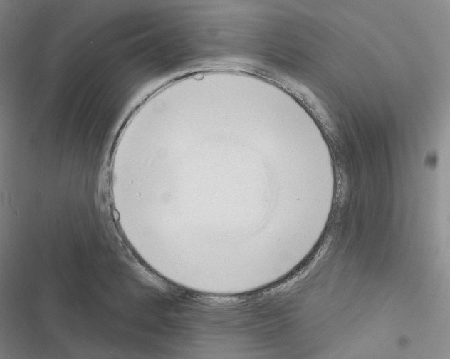 X0000116651184201001251150