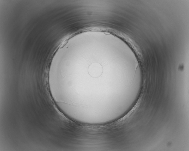 X0000116651185201001251150