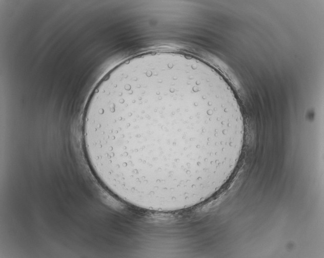 X0000116651186201001251150