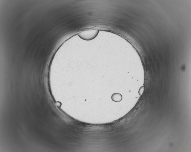 X0000116651187201001251150