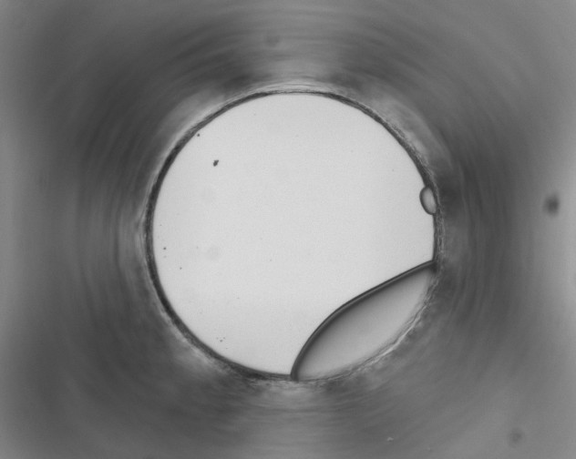 X0000116651189201001251150