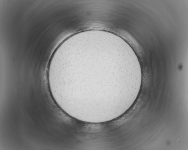 X0000116651190201001251150