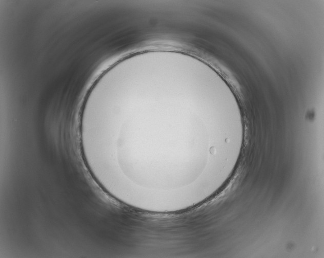 X0000116651192201001251150