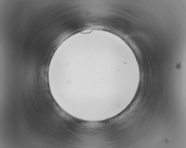 X0000116651193201001251150