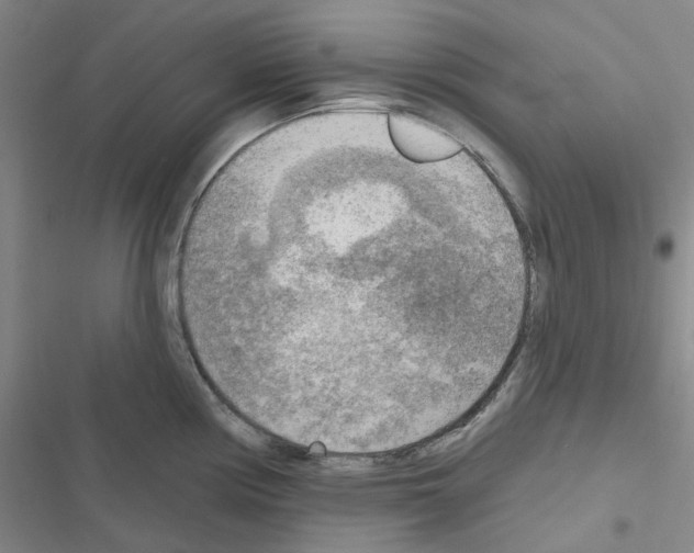 X0000116651194201001251150