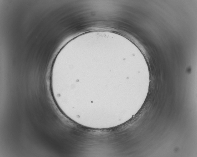 X0000116651195201001251150