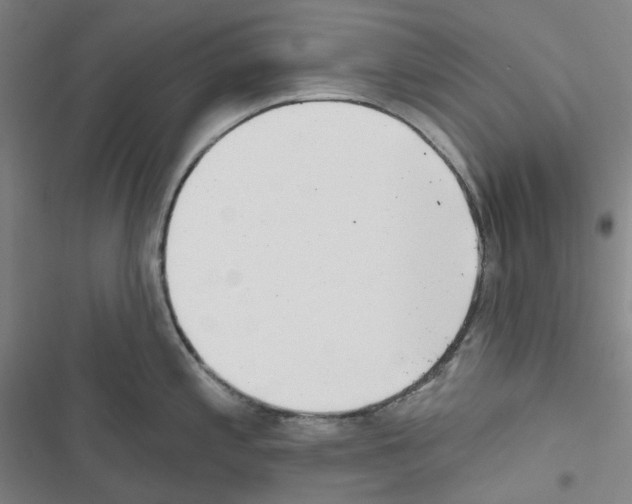 X0000116651197201001251150