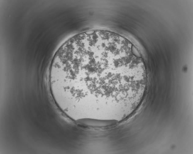X0000116651198201001251150